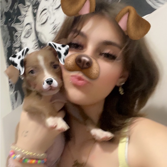 Meet your Posher, Jayda - Picture 1 of 1